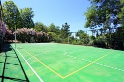 Волейбольная и баскетбольная площадка